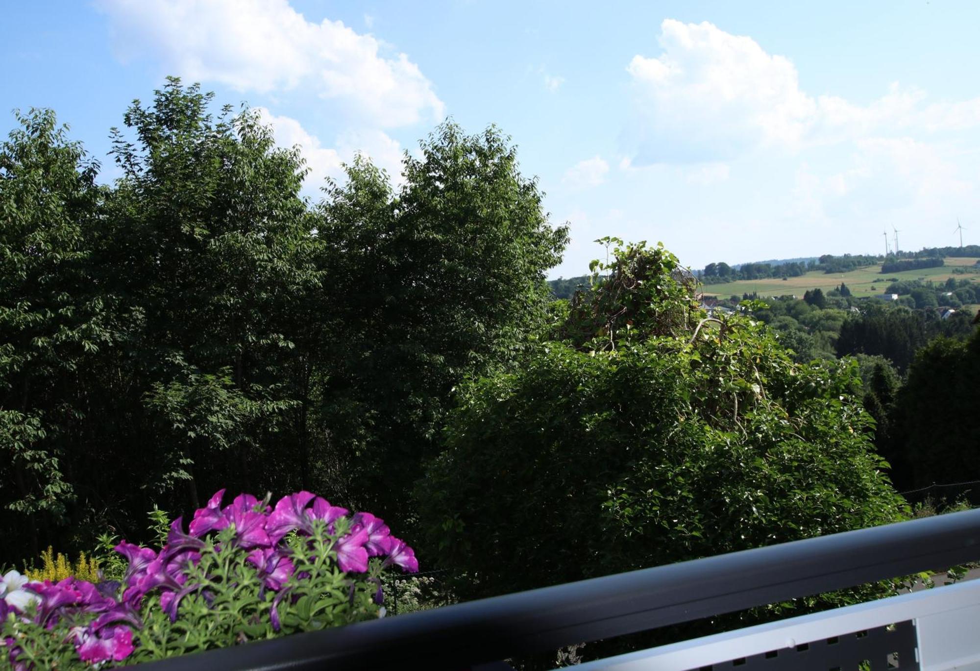 Ferienwohnung Zum Rosengarten West015 Westerwald Driedorf Ngoại thất bức ảnh